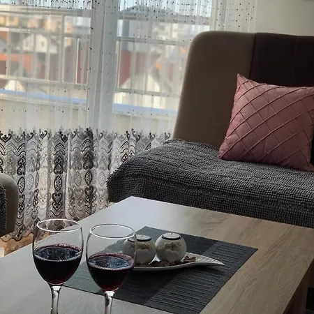 Apartman Lux.2 아파트 비옐리나